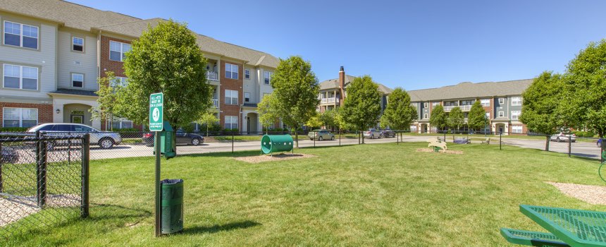 Picture of dog park in our Bloomington apartment community